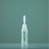 Nuggela & Sule Pack 2 Regenerierende Ampullen 10ml