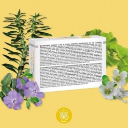 Prisma Natural Memória Nível 743 mg 30 Cápsulas