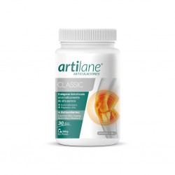Masterdiet Artilane Polvere classica 300 g