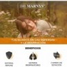 Marnys Propolis 1000 Mg with Echinacea 1000 mg 90 Capsules