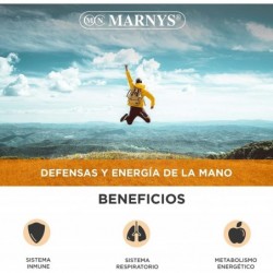 Marnys Propolvit 20 Fläschchen