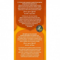 Yogi Tee Ingwer/Vanille/Orange 2g x 17 Beutel