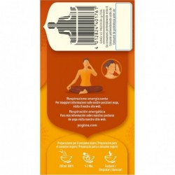 Yogi Tee Ingwer/Vanille/Orange 2g x 17 Beutel