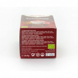 Yogi Tee Schutz mit Echinacea 17 Beutel