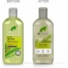 Dr Organic Shampoing Arbre à Thé 265 ml