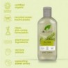 Dr Organic Shampoing Arbre à Thé 265 ml