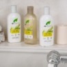 Dr Organic Champú de Árbol de Té 265 ml