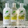 Dr Organic Shampoing Arbre à Thé 265 ml