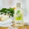 Dr Organic Champú de Árbol de Té 265 ml