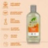 Dr Organic Shampooing au Miel de Manuka 265 ml