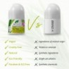 Dr Déodorant Arbre à Thé Bio 50 ml