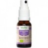 Herbalgem Stomagen Spray 10 ml