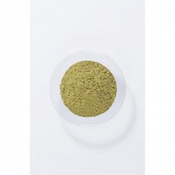 Khadi Henné Cassia-Neutre 100% Pur Khadi 100 g