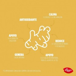 El Granero Integral Bio Ingwerpulver 150 g