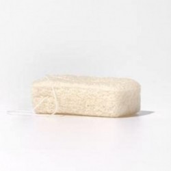 5 cm de fibre de racine P 100 % naturelle