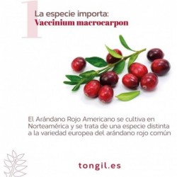 Tongil Pure State Cranberry Tabletslex 30 cápsulas vegetais