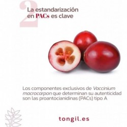 Tongil Pure State Cranberry Tabletslex 30 cápsulas vegetais