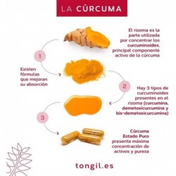 Tongil Curcuma Etat Pur 80 Gélules