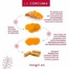 Tongil Curcuma Etat Pur 80 Gélules