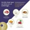 Tongil Pure State Maxi Enzymes avec probiotiques 40 Vcaps