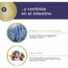 Tongil Pure State Maxi Enzymes avec probiotiques 40 Vcaps