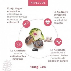 Tongil Nivelcol 60 Capsules