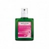 Weleda Cosmetics Déodorant Rose 100 ml