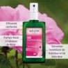 Weleda Cosmetics Déodorant Rose 100 ml