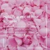 Weleda Cosmetics Déodorant Rose 100 ml