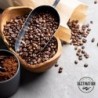 Destination Organic Pure Arabica Selection Coffee Beans 1 Kg【OFFER】