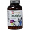 Mundo Natural Tendiplus 90 Gélules