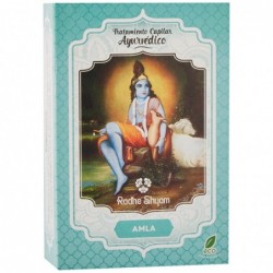 Tratamento capilar ayurvédico Radhe Shyam Spiritual Sky Amla