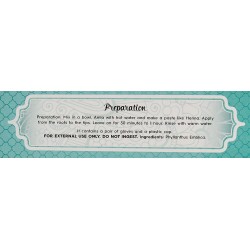 Radhe Shyam Spiritual Sky Amla Trattamento ayurvedico per capelli