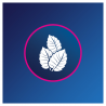 Kukident Pro Completo Classico Risparmio Formato 70 gr