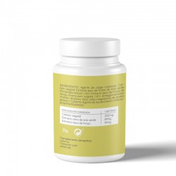 Just Elements AndGo Supplément de bien-être digestif 60 gélules