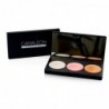 Chameleon 100% Natural Illuminator Palette 3 Colors