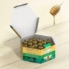 Dietisa Royal Vit Studio 20 Ampoules