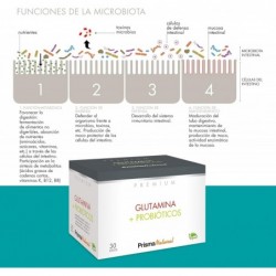 Prisma Premiun Glutamina + Probioticos 30 Stick