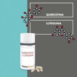 Prisma Premium Quercetina + Luteolina 60 Caps 337Mg