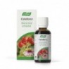 A.Vogel - Bioforce Cistoforce Gouttes 50Ml