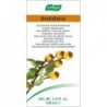 A.Vogel - Bioforce Dentaforce Oral Elixir 100 Ml