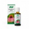 A.Vogel - Bioforce Echinaforce 50 Ml