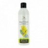 Armonia Regenerating Shampoo 250 Ml Without Sulfates