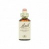 Bach Bach 01 Agrimonia 20 Ml (Agrimonia)