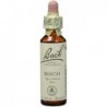 Bach Bach 03 Beech 20 Ml (Bach Beech Flowers)