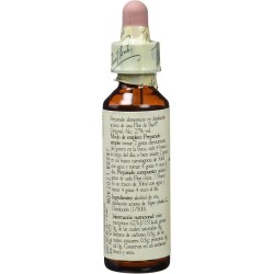 Bach Bach 03 Beech 20 Ml (Bach Beech Flowers)