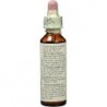 Bach Bach 03 Beech 20 Ml (Bach Beech Flowers)