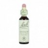 Bach Bach 04 Centaury 20 Ml (Lesser Centaury Flowers)