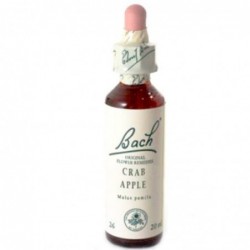 Bach Bach 10 Holzapfel 20 Ml