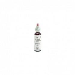 Bach Bach 13 Ginster 20 ml (Bach Ginsterblüten)